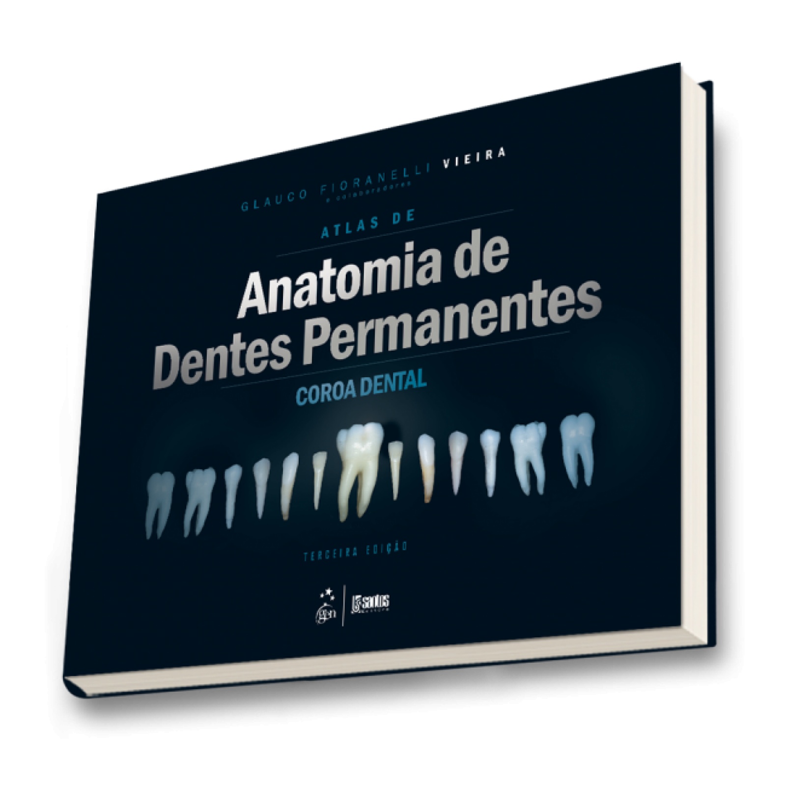 Atlas De Anatomia De Dentes Permanentes - Coroa Dental