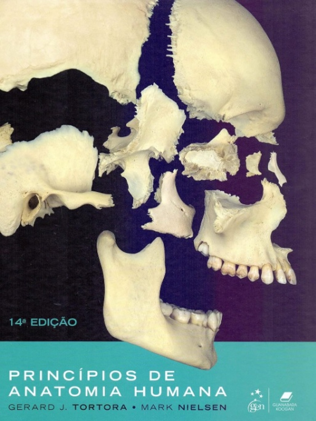 Princípios De Anatomia Humana