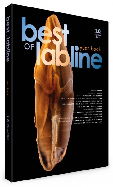 Best Of Labline Year Book 2016