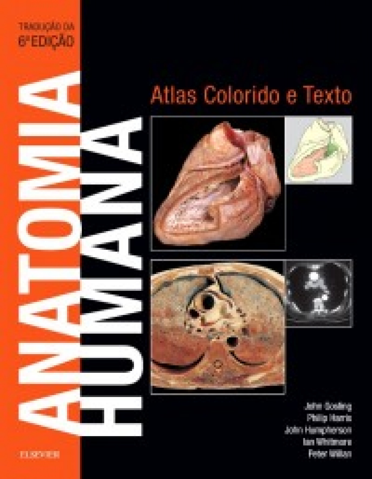 Anatomia Humana- 6A Edição