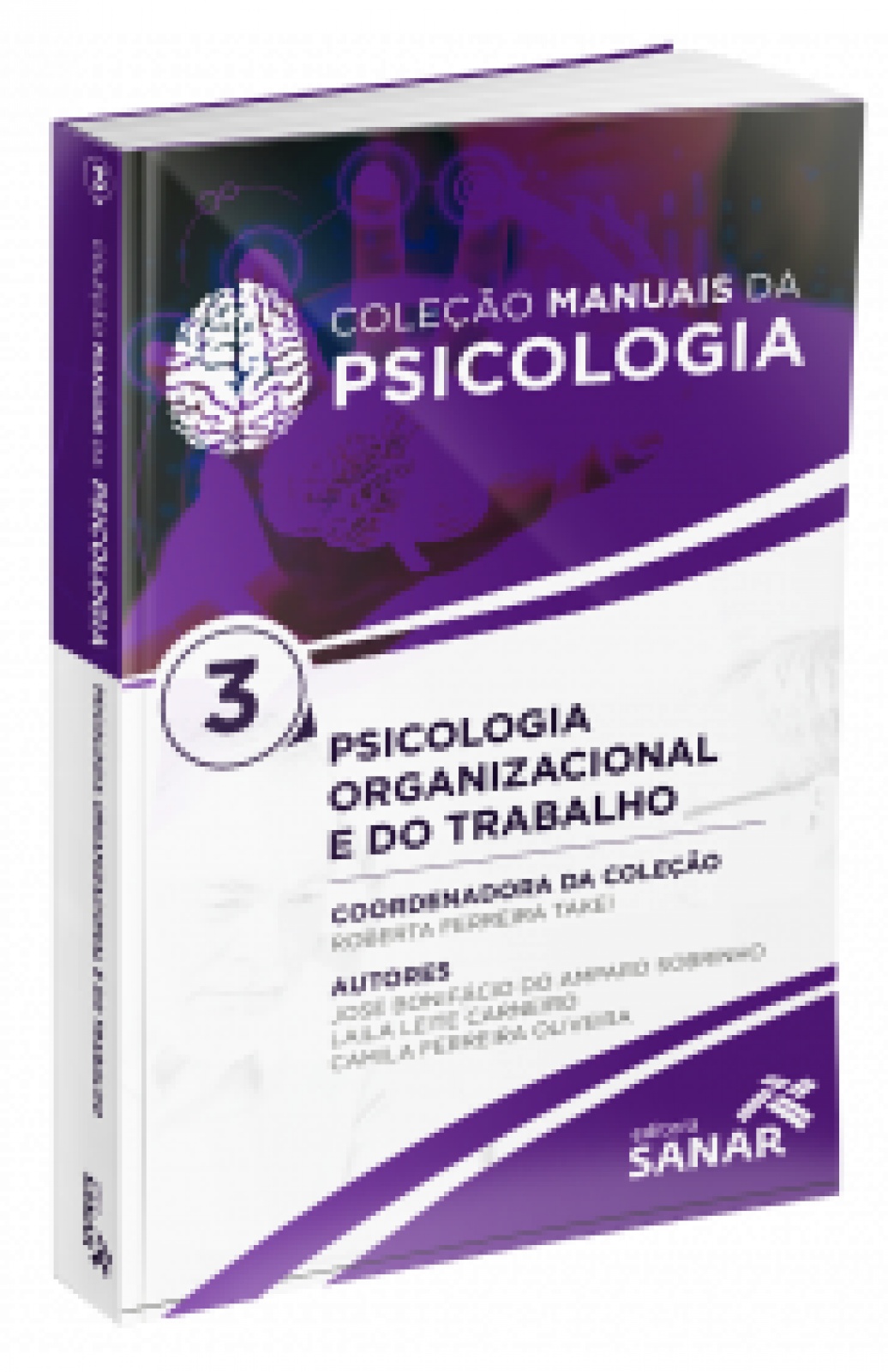 Psicologia Organizacional - Coleção Manuais Em Psicologia Para Concursos E Residências (Volume 3)