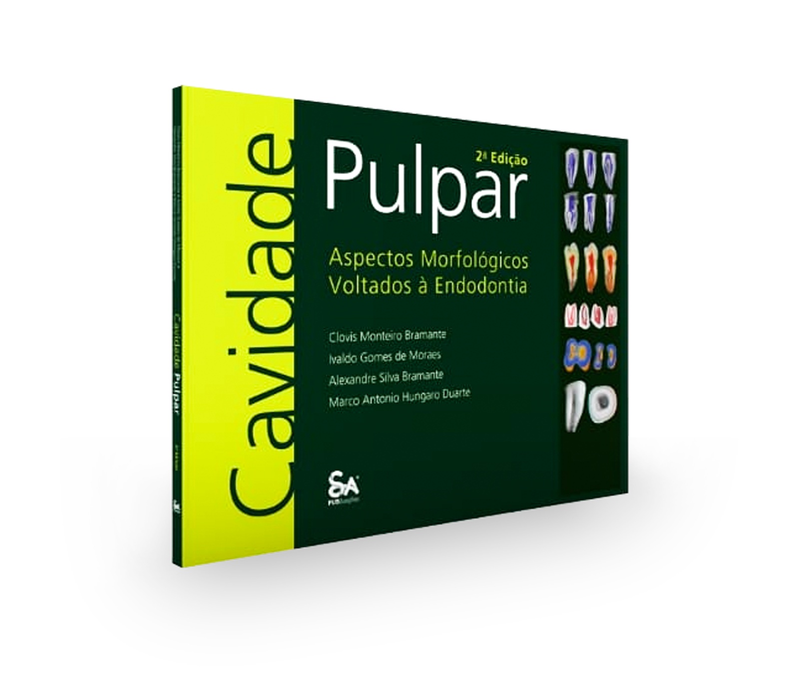 Cavidade Pulpar – Aspectos Morfológicos Voltados À Endodontia