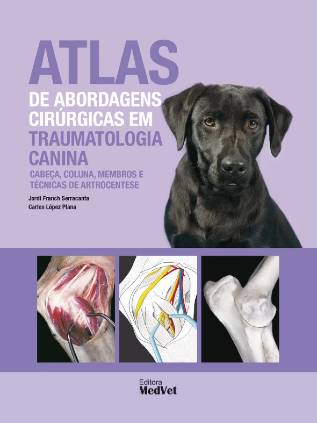 Atlas De Abordagens Cirúrgicas Em Traumatologia Canina